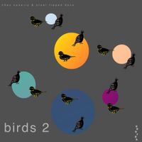 Steel Tipped Dove & Chaz Canairy - Birds 2