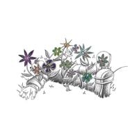 Dope Body - Home Body
