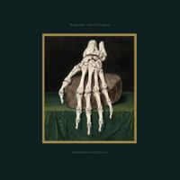 Wanderwelle - A State of Decrepitude
