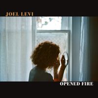 Joel Levi - Opened Fire