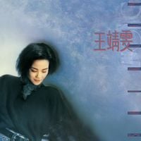 王菲 [Faye Wong] - 王靖雯