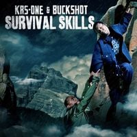 KRS-One & Buckshot - Survival Skills