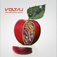 Voltaj - Povestea Oricui
