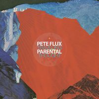 Pete Flux & Parental - Traveling Thought