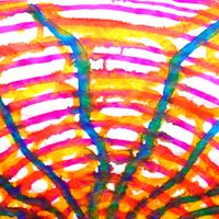 Tuluum Shimmering - Five From the Vault