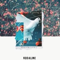 Kodaline - Saving Grace