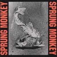 Sprung Monkey - Situation Life