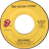 The Rolling Stones - Wild Horses