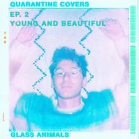 Glass Animals - Quarantine Covers