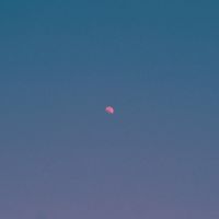 Tasha - But There's Still the Moon