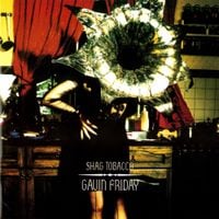 Gavin Friday - Shag Tobacco