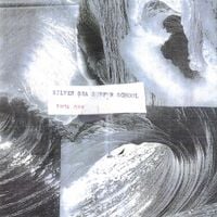 Inca Ore - Silver Sea Surfer School