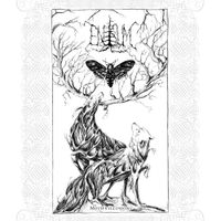 Enisum - Moth's Illusion