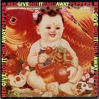 Red Hot Chili Peppers - Give It Away