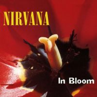 Nirvana - In Bloom