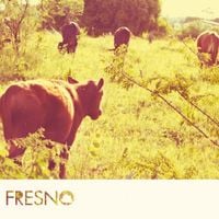 Fresno - Cemit&eacute;rio das Boas Inten&ccedil;&otilde;es