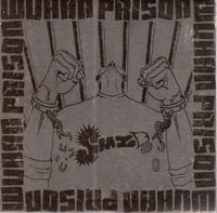 SMZB - Wuhan Prison