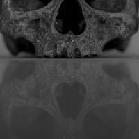 Coldworld - We Are Doomed