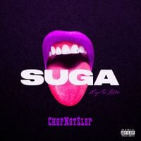Megan Thee Stallion - Suga (Chopnotslop Remix)