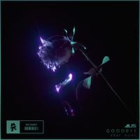 Au5 - Goodbye