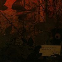 Shugo Tokumaru - Night Piece