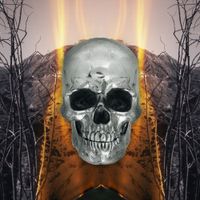 The Neverly Boys - Dark Side of Everything