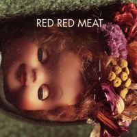 Red Red Meat - Bunny Gets Paid