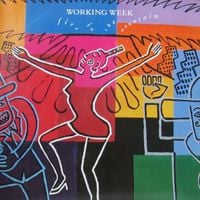 Working Week - Fire in the Mountain