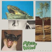 Penny Diving - Big Inhale
