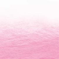 RAY - Pink