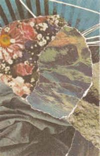 夕方の犬 [Dog in the Evening] - oct16. 1964