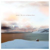 bvdub - The Art of Dying Alone