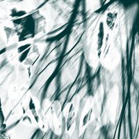Woesum - Dented