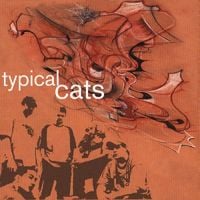 Typical Cats - Typical Cats