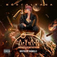 Bossaleana - Another Year Another Round