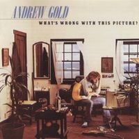 Andrew Gold - What's Wrong With This Picture?