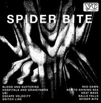 Daniel Romano - Spider Bite