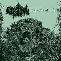 Cerebral Rot - Cessation of Life