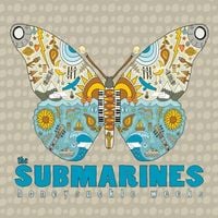 The Submarines - Honeysuckle Weeks