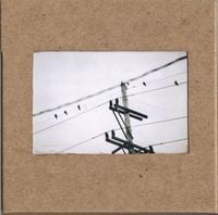 things falling apart - we carry our fate in plain sight