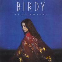 Birdy - Wild Horses