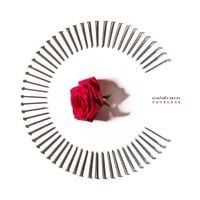 coldrain - FATELESS