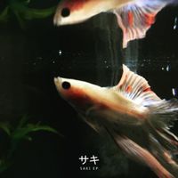 S A K I 夢 - サキ