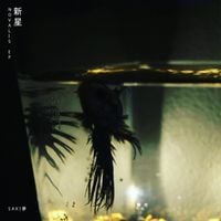 S A K I 夢 - 新星