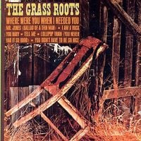 The Grass Roots - Where Were You When I Needed You