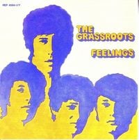 The Grass Roots - Feelings