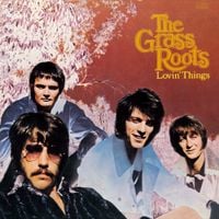 The Grass Roots - Lovin' Things