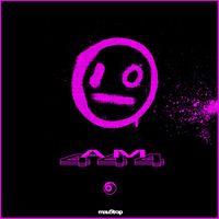 i_o & Lights - AM 444
