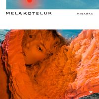 Mela Koteluk - Migawka