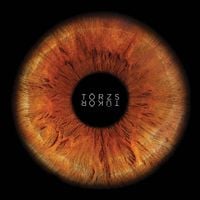 T&ouml;rzs - T&uuml;k&ouml;r